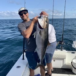 Stray Cat Charter