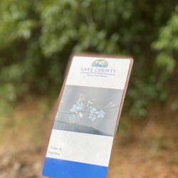 Ferndale Preserve