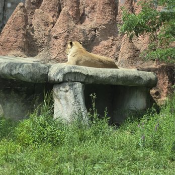 Akron Zoo - Zoos Near Me - Akron, Ohio Akron Zoo - Zoos Near Me - Akron, Ohio