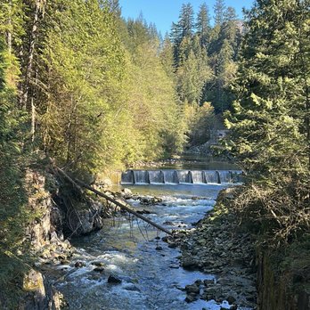 Capilano Salmon Hatchery - Parks Near Me - North Vancouver, British Columbia Capilano Salmon Hatchery - Parks Near Me - North Vancouver, British Columbia