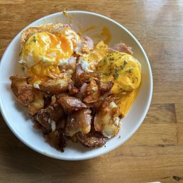Biscuit Benny Biscuit Benny