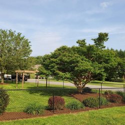 Pro Series Lawn Care