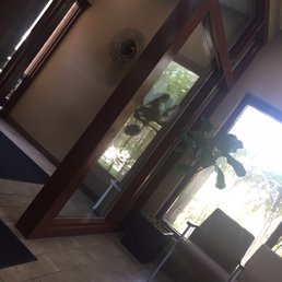 Looking outside of the office. Nice bench awaits outside. Looking outside of the office. Nice bench awaits outside.