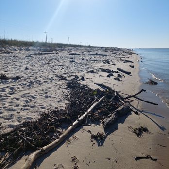 Fort Morgan Beach - Driftwood everywhere - Beaches Near Me - Gulf Shores, Alabama