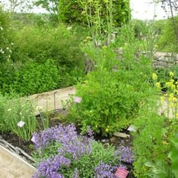 Salagon musée et jardin