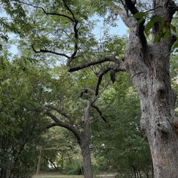 Russ Pitman Park - Wherever Wednesday leads you
