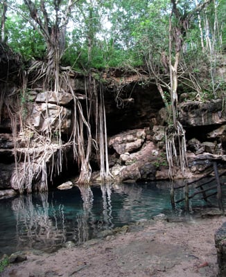 Cenote X'batun by null