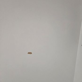 MG Remediation - Damage to paint/drywall - Environmental Abatement Near Me - San Leandro, California MG Remediation - Damage to paint/drywall - Environmental Abatement Near Me - San Leandro, California
