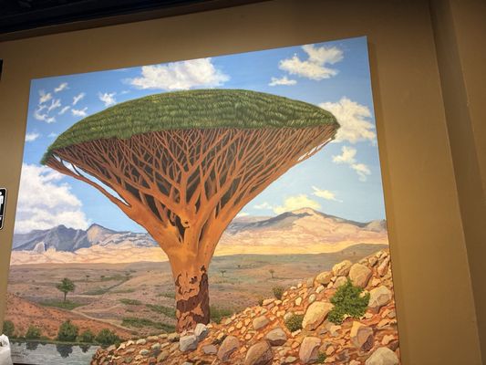 Yemen Cafe & Restaurant by null