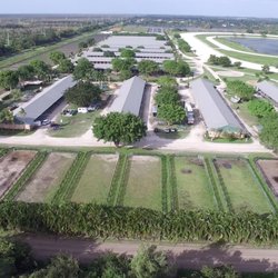 AMP Stables & Boarding