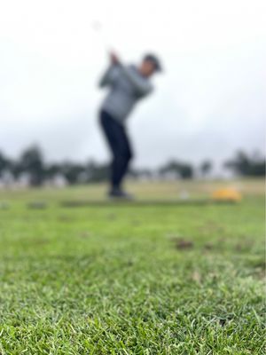 Bayonet & Black Horse by null