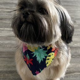 Minnie post haircut