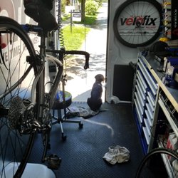 Velofix - Albany - Loyal shop dog Sprocket. Looking at the squirrels