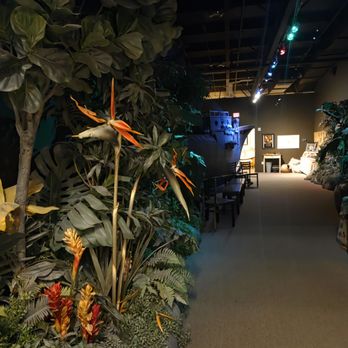 Chocolate Museum & Cafe - the chocolate museum tour tropical rainforest - Museums Near Me - Orlando, Florida
