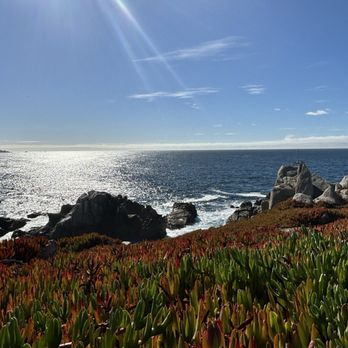 Pescadero Point - Local Flavor Near Me - Pebble Beach, California Pescadero Point - Local Flavor Near Me - Pebble Beach, California