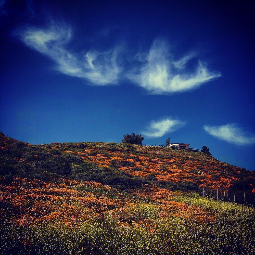 CITY OF LAKE ELSINORE 12 Photos & 12 Reviews Lakes 130 S Main St