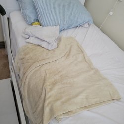 The Retreat at Fishersville - No linens on bed, towel covering stain on mattress pad.