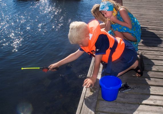 Tingsaker Familiecamping by null