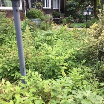 Flat Rate Labor - Before - Landscaping Near Me - Philadelphia, Pennsylvania