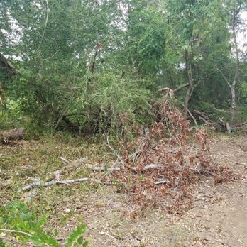 SCE Landscaping/Tree Service - Landscaping Near Me - Alto, Texas