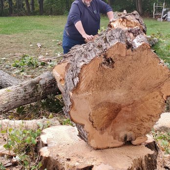 Bolduc Tree Service - The slab they cut for us to keep :-) - Tree Services Near Me - Fremont, New Hampshire