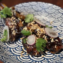 The Duck Inn - Duck WIngs