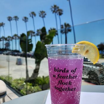 Parakeet Cafe - La Jolla - Coffee & Tea Near Me - La Jolla, California Parakeet Cafe - La Jolla - Coffee & Tea Near Me - La Jolla, California