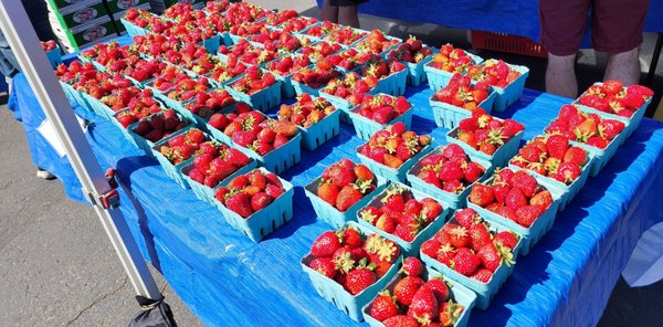 Shoreline Farmers Market by null