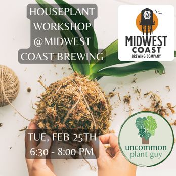 Uncommon Plant Guy - Houseplant Workshop
Tue, Feb 25th @ Midwest Coast Brewing - Party & Event Planning Near Me Uncommon Plant Guy - Houseplant Workshop
Tue, Feb 25th @ Midwest Coast Brewing - Party & Event Planning Near Me
