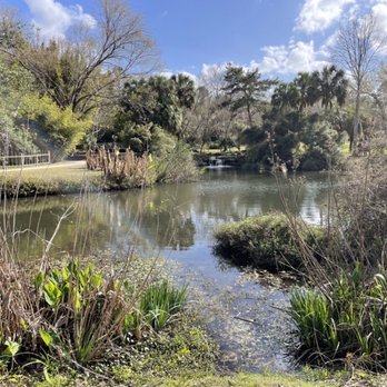 Kanapaha Botanical Gardens - Lake with koi fish - Tours Near Me - Gainesville, Florida Kanapaha Botanical Gardens - Lake with koi fish - Tours Near Me - Gainesville, Florida