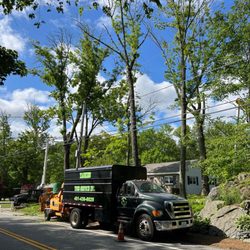 Yankee Tree Service