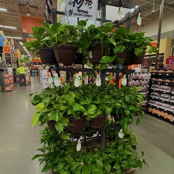 The Home Depot - Plants - Nurseries & Gardening Near Me - Monterey Park, California The Home Depot - Plants - Nurseries & Gardening Near Me - Monterey Park, California