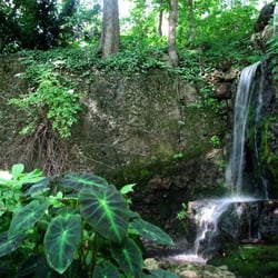 Linmar Gardens - Our waterfall built into a limestone wall - 22' tall