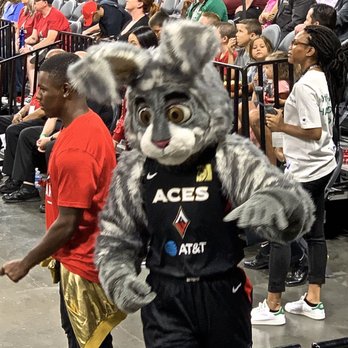 Las Vegas Aces - Buckets the mascot. - Professional Sports Teams Near Me - Las Vegas, Nevada Las Vegas Aces - Buckets the mascot. - Professional Sports Teams Near Me - Las Vegas, Nevada