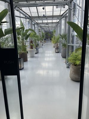 Zoku Amsterdam by null