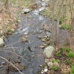 Frenchtown Park Trail - Lots of little streams