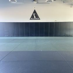 Alliance Jiu Jitsu - Alliance Scottsdale is the spot - disciplined training, clean gym, and amazing coaching from Professor Thiago.