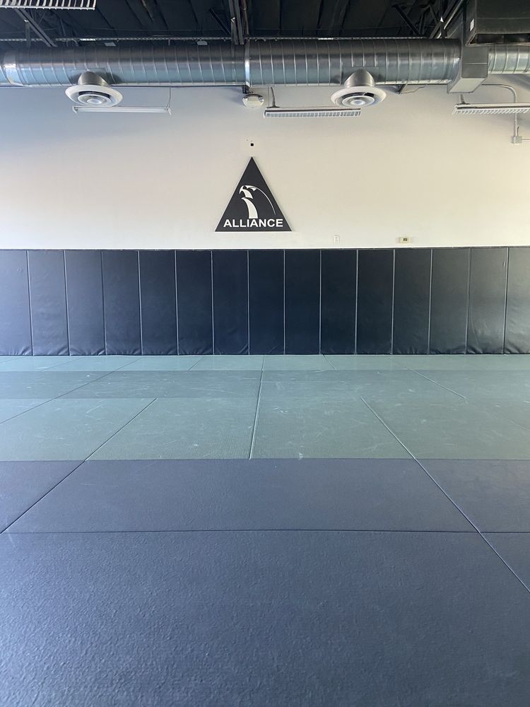 Alliance Jiu Jitsu Logo