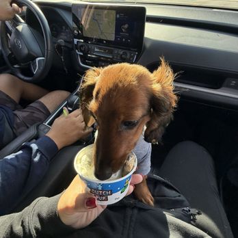 Dutch Bros Coffee - Coffee & Tea Near Me - Yucaipa, California Dutch Bros Coffee - Coffee & Tea Near Me - Yucaipa, California