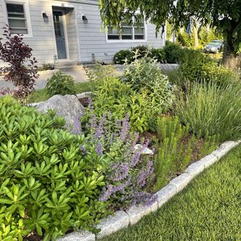 Botanical Beauty Designs - Landscape Architects or Designers Near Me Botanical Beauty Designs - Landscape Architects or Designers Near Me