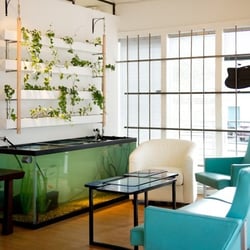 Pure Marijuana Dispensary - Come and relax in our "Zen like pot oasis" as per our Westword review!