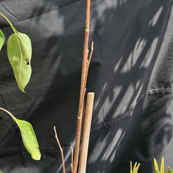 Gardening Express - Gardeners Near Me - Chelmsford, ESS