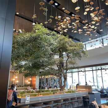 Amex Centurion Lounge - Lounges Near Me - Atlanta, Georgia