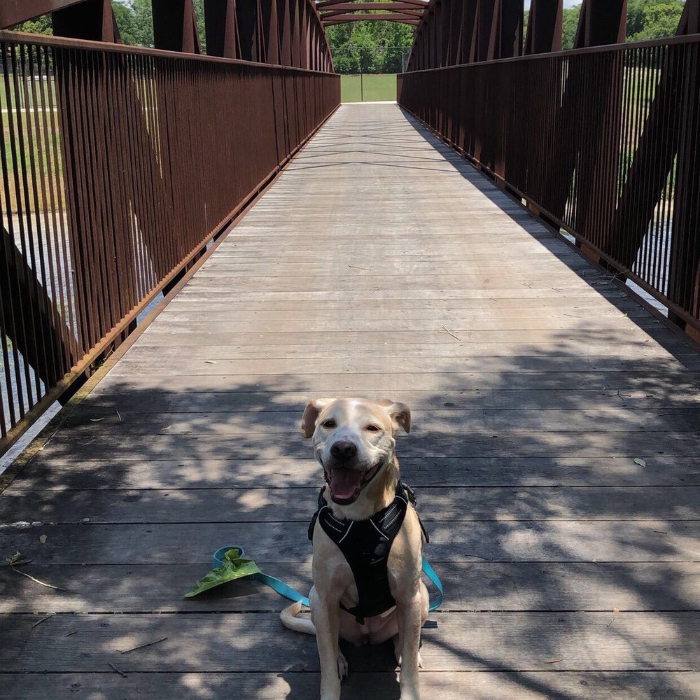 Blanchard Park - Finding the shaded areas to keep her temp down! - Parks Near Me - Orlando, Florida