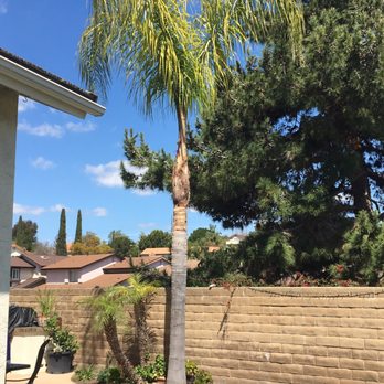 Johnny's Landscape & Maintenance - Excellent! - Landscaping Near Me - Spring Valley, California Johnny's Landscape & Maintenance - Excellent! - Landscaping Near Me - Spring Valley, California