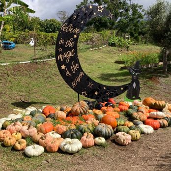 Kula Country Farms - Farmers Market Near Me - Kula, Hawaii Kula Country Farms - Farmers Market Near Me - Kula, Hawaii