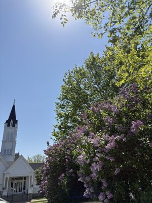 Gustaf's On Main Eatery by null