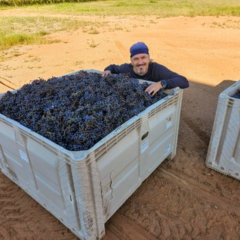 Skyhaven Wines - Harvest 2026! - Wineries Near Me - Willcox, Arizona Skyhaven Wines - Harvest 2026! - Wineries Near Me - Willcox, Arizona