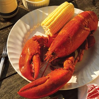 The Lure - Try our Cape Cod classic lobster overlooking the shore. - Seafood Near Me - Mashpee, Massachusetts The Lure - Try our Cape Cod classic lobster overlooking the shore. - Seafood Near Me - Mashpee, Massachusetts