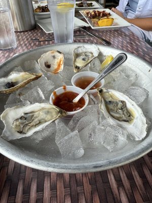 On The Docks by null